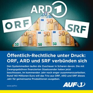Öffentlich Rechtliche verbünden sich