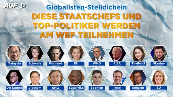 Die Täter im Überblick