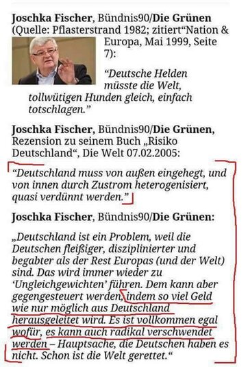 Joschka Fischer zu Deutschland