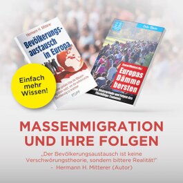 Massenmigration und die Folgen